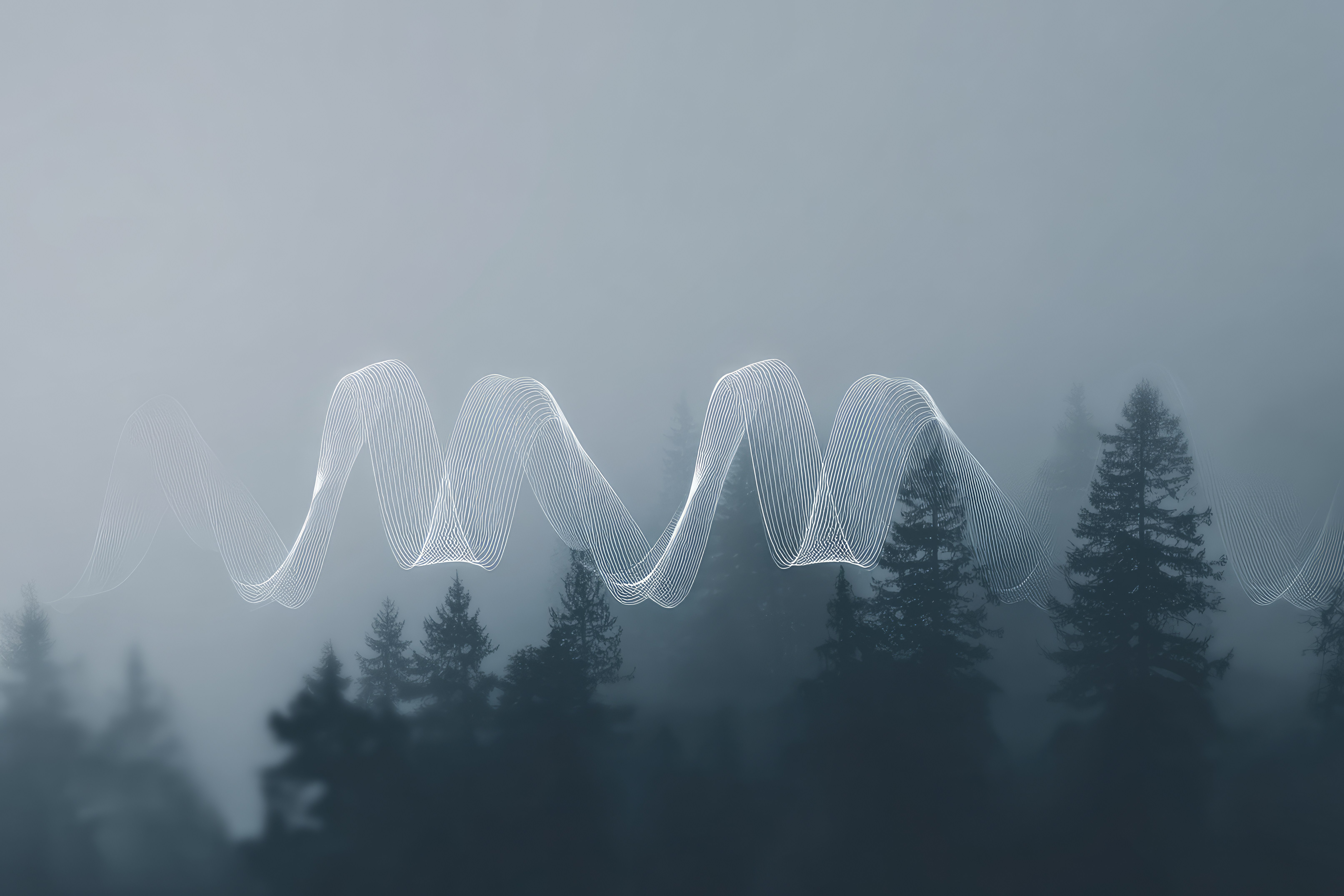 🌌 The Story of the Echo