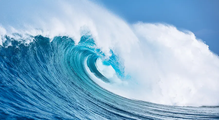 🌊 The Story of the Wave