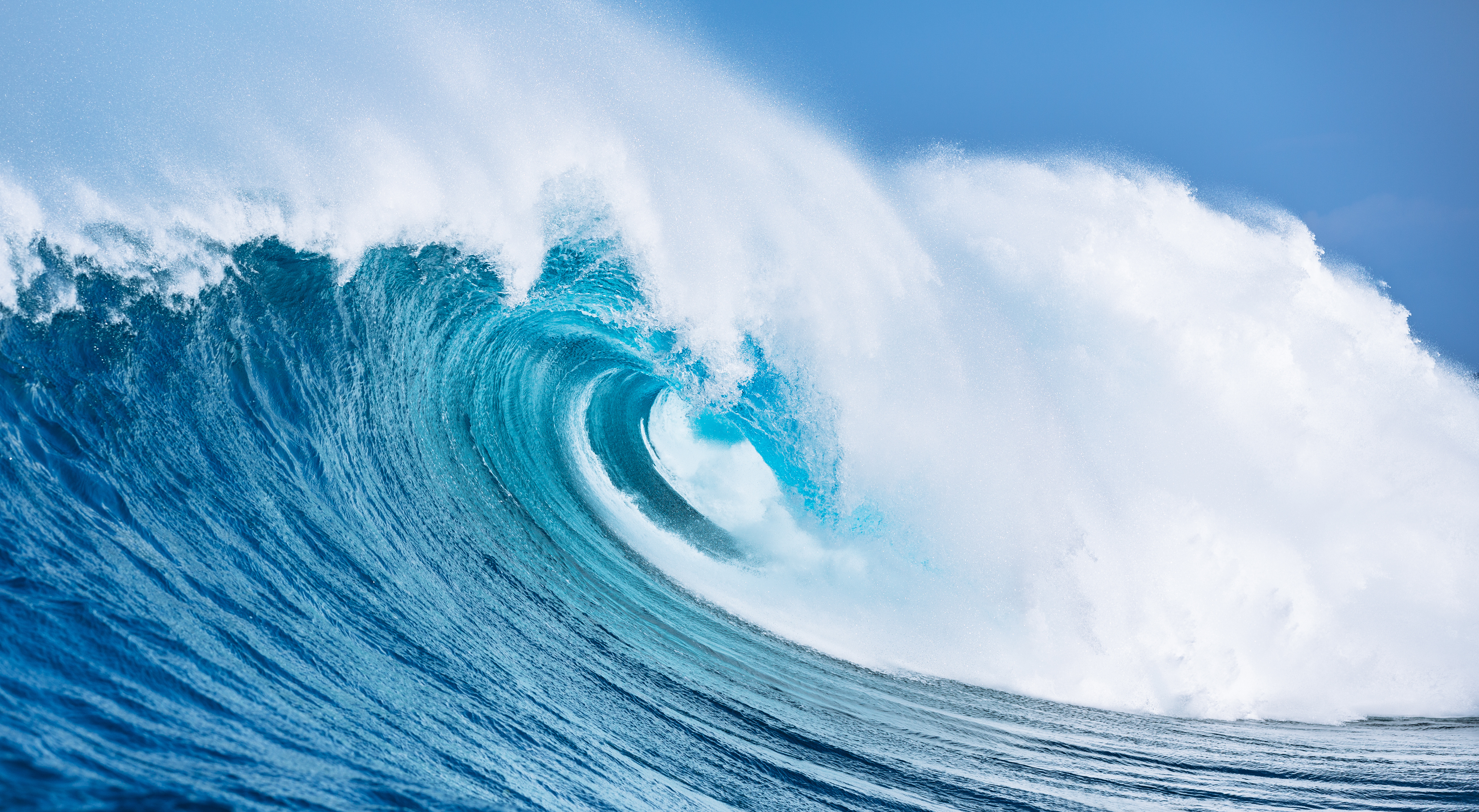🌊 The Story of the Wave