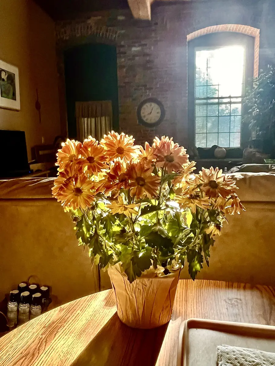 REFLECTIONS: Growing Up in New England & The Northeast U.S. is actually a Blessing!